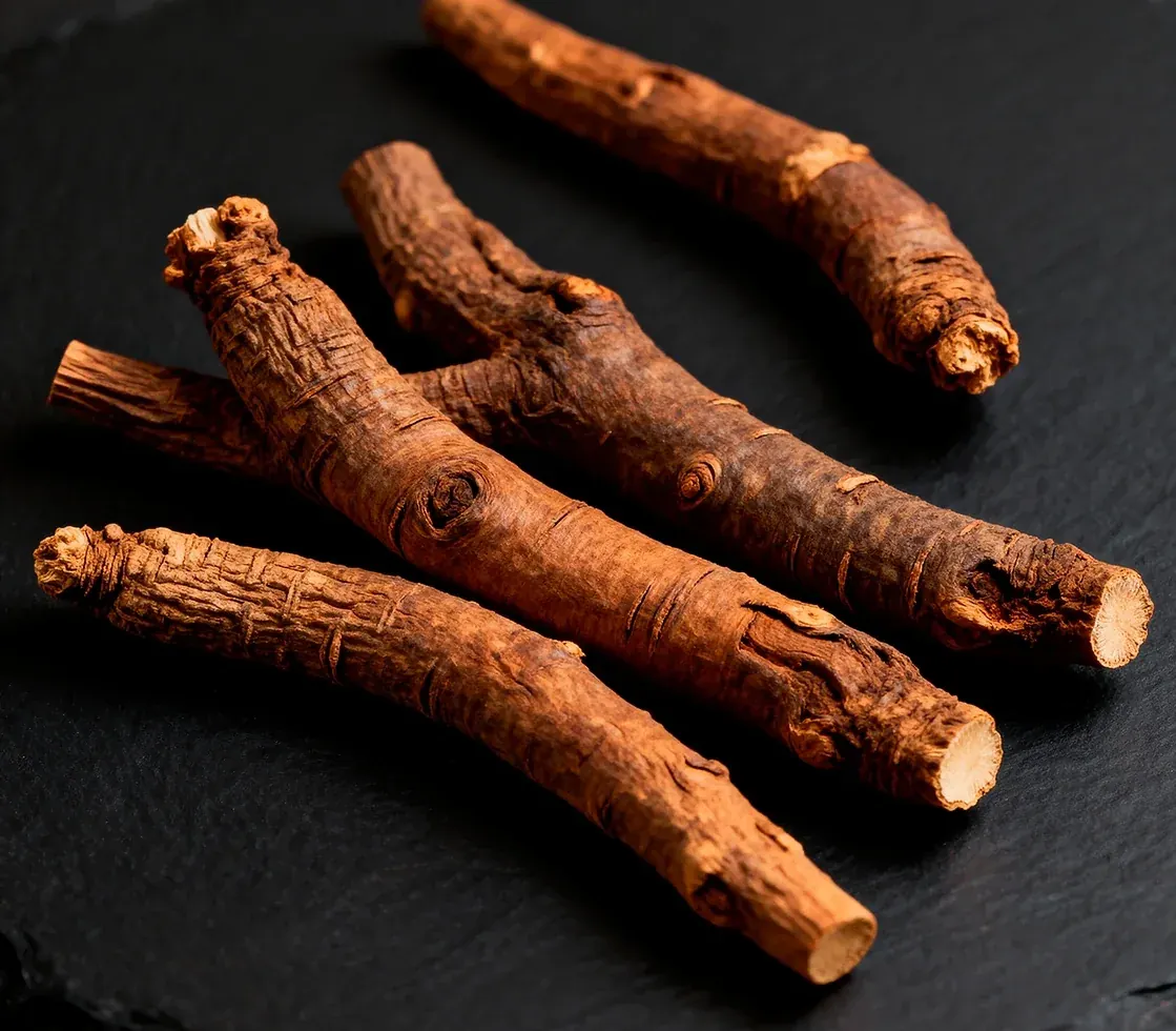 Dried sarsaparilla roots arranged on dark slate